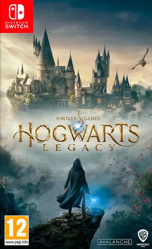 Игра Hogwarts Legacy (Nintendo Switch, русские субтитры)